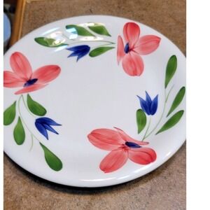 Maxam Italy Hand Painted Floral Dinner Plates Set of 2 Pink Blue Flowers 10 in